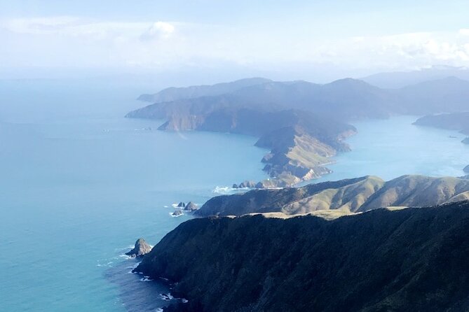 Bay of Many Coves, Marlborough Sounds- Heli-lunch from Wellington - Weather, cancellation, and practical limits