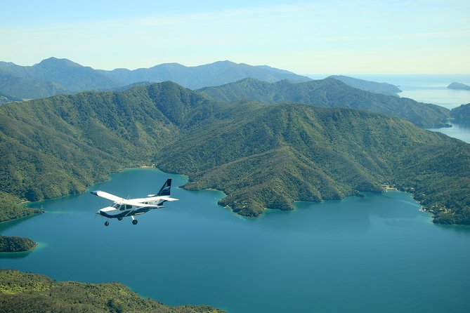 Bays and Bush Flight Scenic Tour - Taking off from Picton Aerodrome