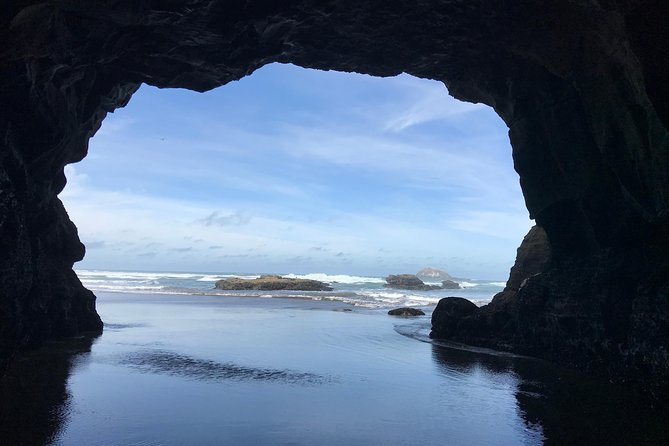 Beautiful Nature Tours Auckland - Private Tour - Who will enjoy this tour most