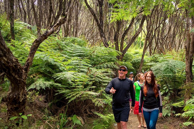 Best Abel Tasman Day trip - Lunch on board, with more than a snack