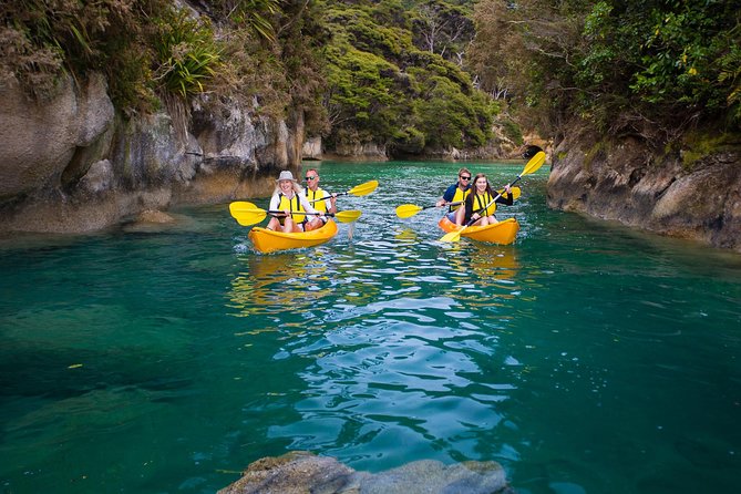 Best Abel Tasman Day trip - Split Apple Rock, a quick but worthwhile stop
