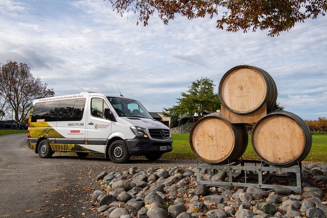 Beyond the Vines - Full-Day Marlborough Wine Tasting Tour - Why Marlborough works so well for a day tour