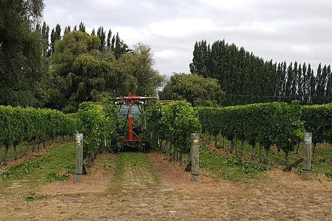 Beyond the Vines - Full-Day Marlborough Wine Tasting Tour - Who will enjoy this outing most?