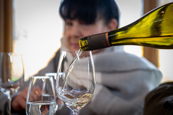 Beyond the Vines - Full-Day Marlborough Wine Tasting Tour - Five wineries, with room for variety