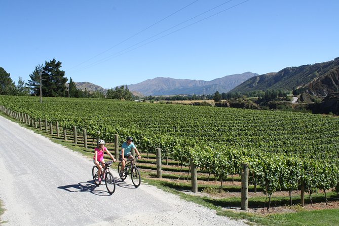 Bike The Wineries (3/4 Day) - Ride Through Queenstown Vineyards - Mt Rosa Wines and the final stretch
