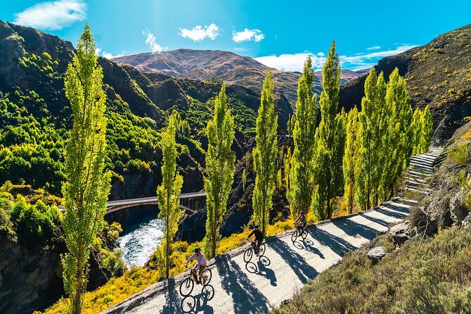 Bike The Wineries (Full-Day) - Bike & Wine Tour - Why this makes a good Queenstown day trip