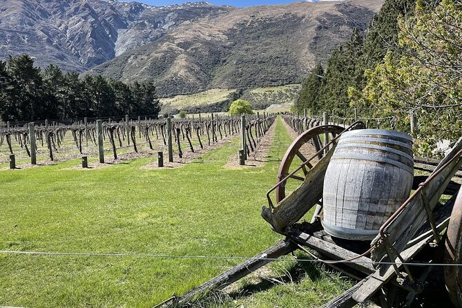 Bike & Wine Tour: Arrowtown to Valley of the Vines - Key things to know before you ride