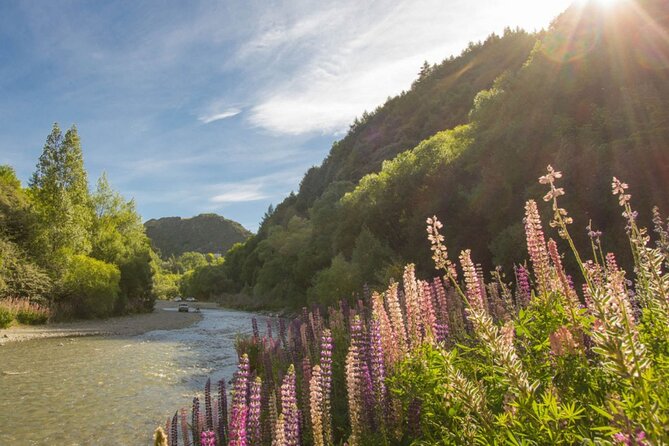 Bike & Wine Tour: Arrowtown to Valley of the Vines - Planning your afternoon before the 4:00 pm pickup