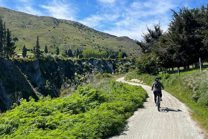 Bike & Wine Tour: Arrowtown to Valley of the Vines - Is $73.85 good value?