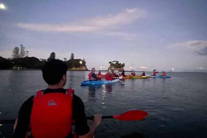 Bioluminescence Kayak Tour - Est. 1994 - What the bioluminescence actually looks like