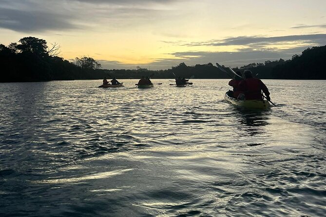 Bioluminescence Kayak Tour - Est. 1994 - The guides are a major part of the value