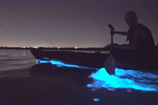 Bioluminescence Kayak Tour - Est. 1994 - Who should book this Auckland night paddle?