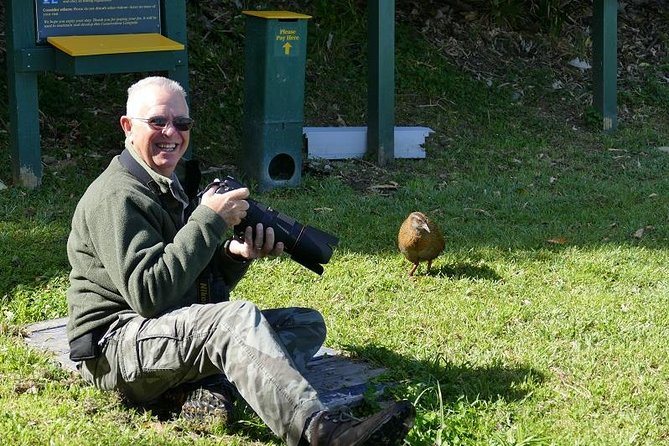 Bird Watching and Dolphin Eco-Tour to Blumine Island - Key points to know before you book
