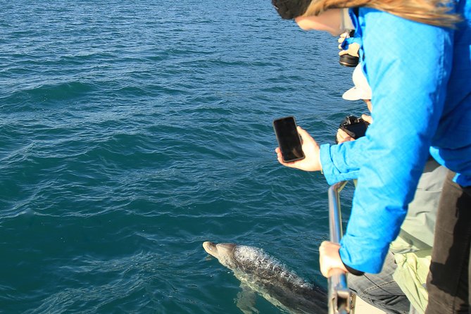 Bird Watching and Dolphin Eco-Tour to Blumine Island - Why Blumine Island makes this trip special