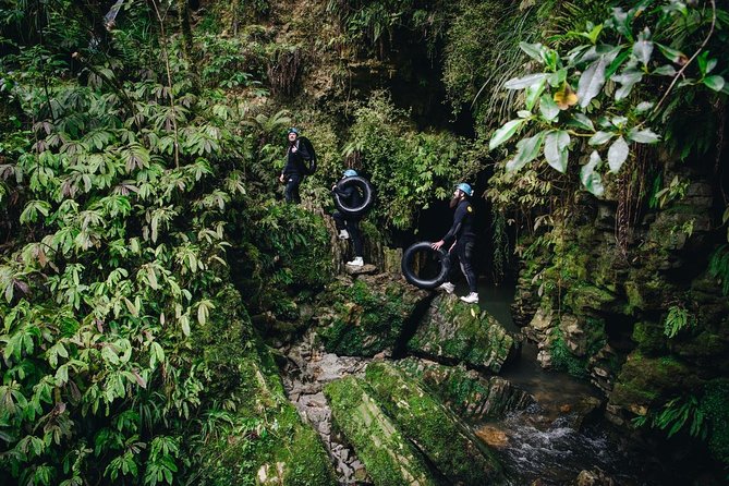 Black Abyss: Ultimate Waitomo Caving - Private Tour from Auckland - Glowworms after the adrenaline