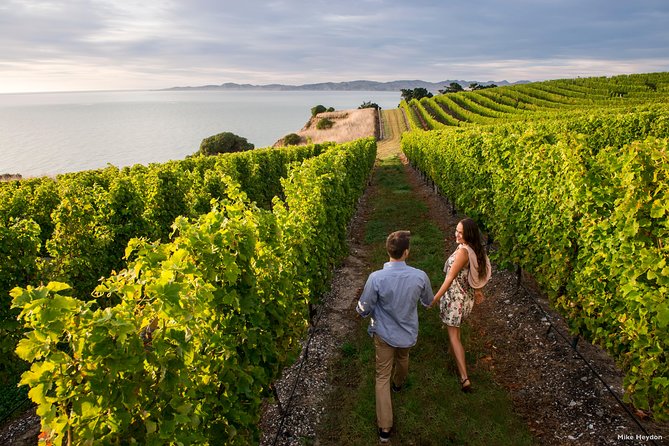 Blenheim Half day Wine Tour - Starting at 10:00 am with hotel pickup