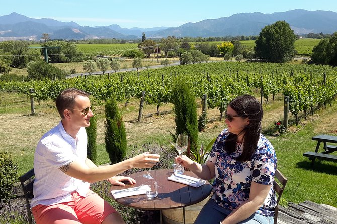 Blenheim Half day Wine Tour - Guides who shape the day