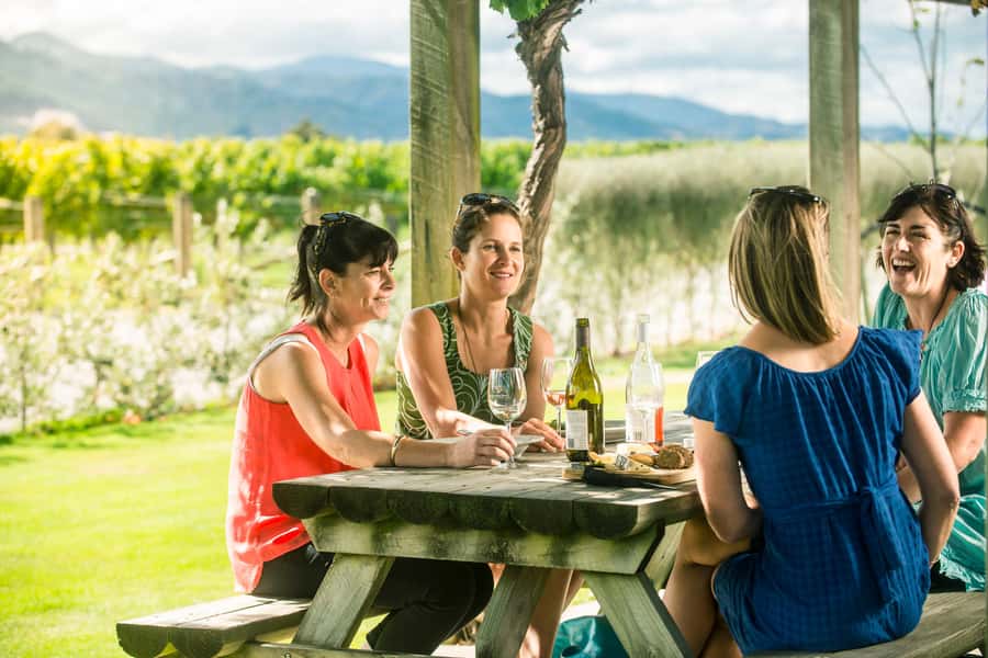 Blenheim/Renwick: Marlborough Half-Day Wine Tour with Lunch - The first vineyard sets the pace
