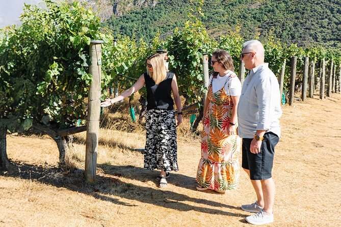 Boutique Wine Tour - visit Central Otago, 4 Wineries & Lunch - Old Cromwell adds a short history walk