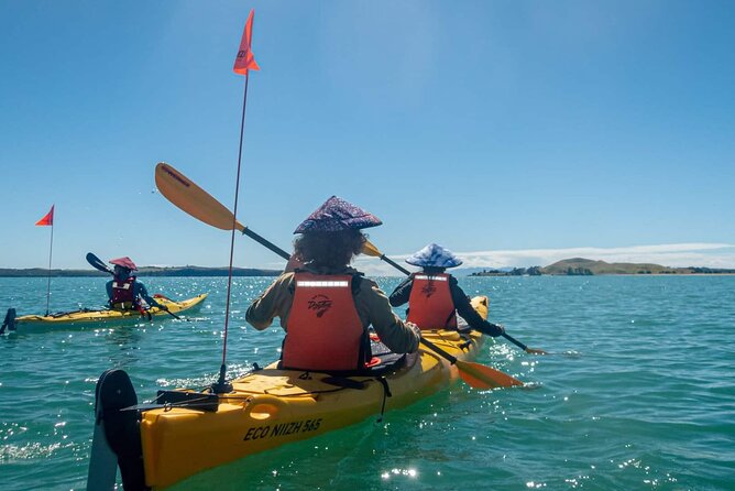 Browns Island Motukorea Sea Kayak Tour - Starting at St Heliers Bay at 10:00 a.m.
