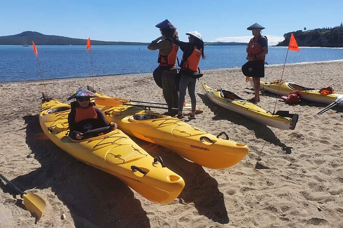 Browns Island Motukorea Sea Kayak Tour - The return paddle and what it means