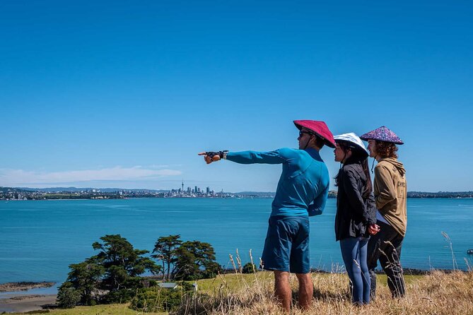 Browns Island Motukorea Sea Kayak Tour - Who will enjoy this tour most?