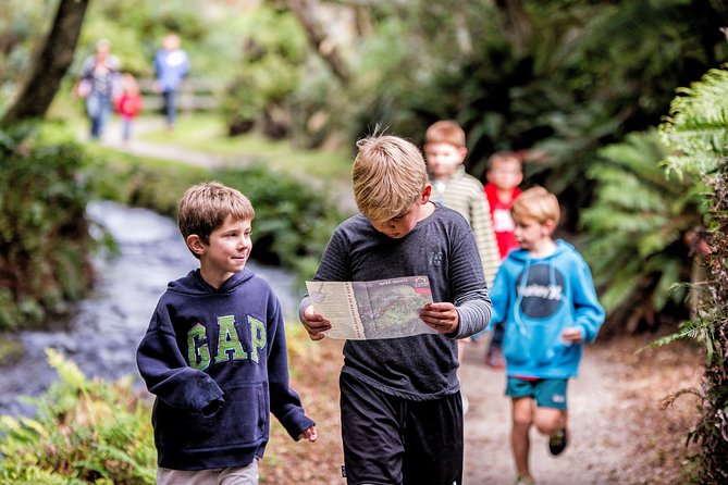 Buried Village of Te Wairoa - Key points to know before you go