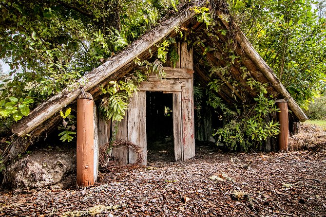 Buried Village of Te Wairoa - The Waterfall Trail and Wairere Falls