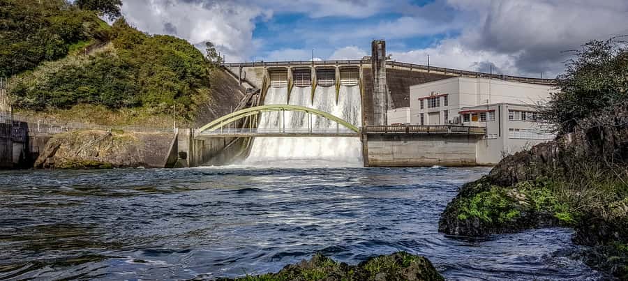 Cambridge, Matamata, Waitomo: 1-Hour Ecological River Cruise - Key points to know before you book