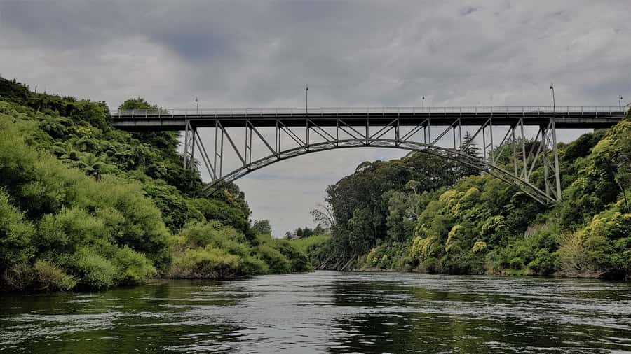 Cambridge, Matamata, Waitomo: 1-Hour Ecological River Cruise - Why the lower Waikato River works so well