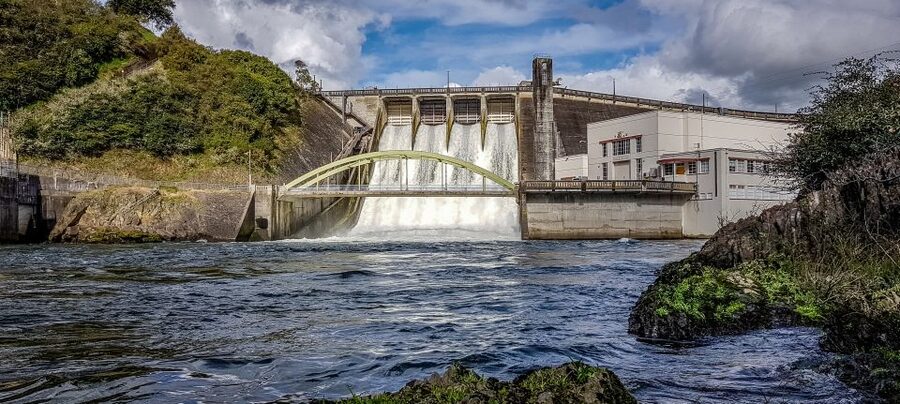 Cambridge, Matamata, Waitomo: 1-Hour Ecological River Cruise - Birds, fish, and the ecological side