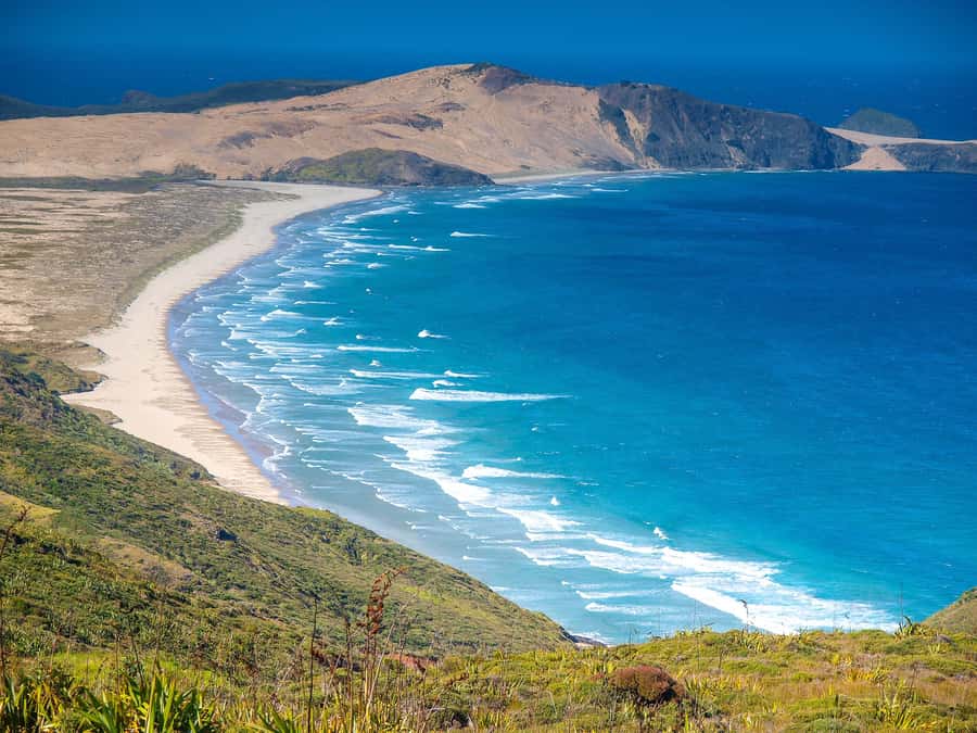 Cape Reinga: Day Trip from Paihia, Kerikeri, or Kaitaia - Key things to know before booking