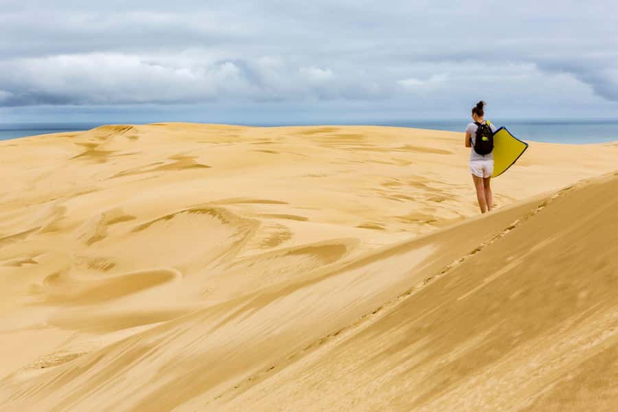 Cape Reinga: Day Trip from Paihia, Kerikeri, or Kaitaia - Why Cape Reinga deserves a full day from Paihia