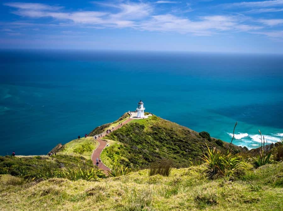 Cape Reinga: Day Trip from Paihia, Kerikeri, or Kaitaia - The coastal road north through rural Northland