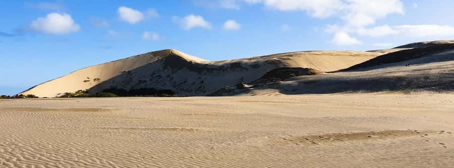 Cape Reinga: Day Trip from Paihia, Kerikeri, or Kaitaia - Is $136 good value for this Northland day trip?