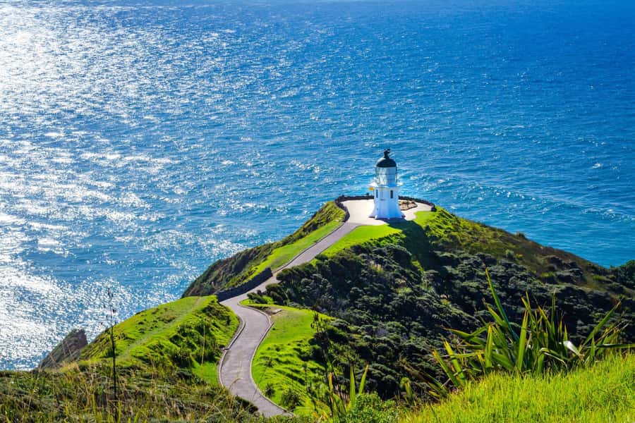 Cape Reinga: Day Trip from Paihia, Kerikeri, or Kaitaia - A comfortable start in a group of 11