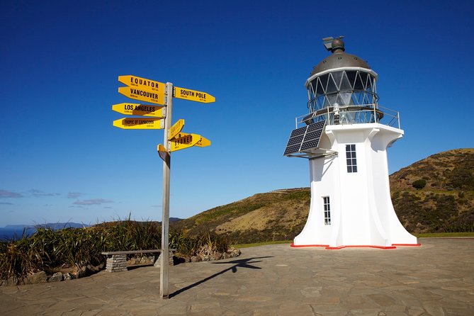 Cape Reinga Half-Day Tour Including Scenic Flight - The return flight over remote Northland