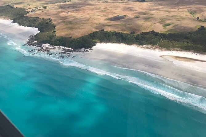 Cape Reinga Half-Day Tour Including Scenic Flight - Starting at Kerikeri Airport