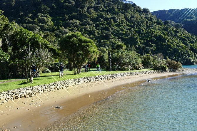 Captain Cook and Dolphin Cruise - Motuara Island and the nature reserve option