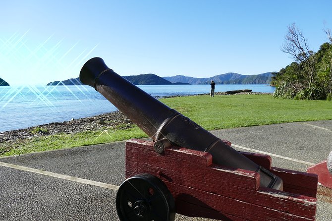 Captain Cook and Dolphin Cruise - Who should choose this four-hour outing