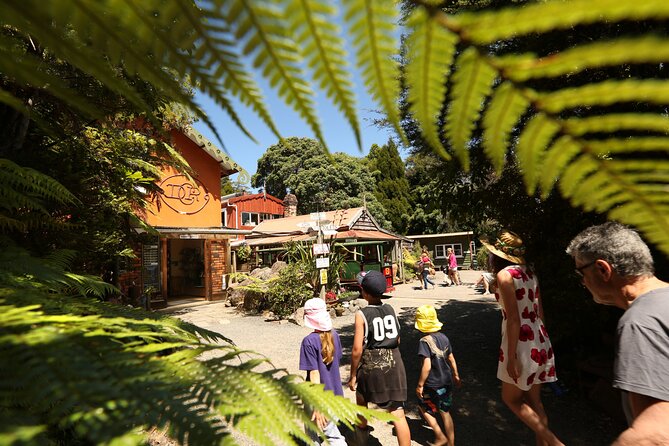 Captivating Railway Journey in Coromandel - Why Driving Creek Railway is different