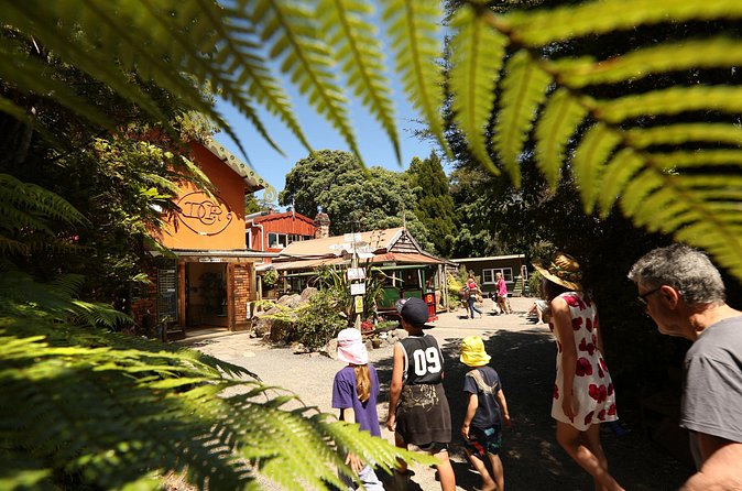 Captivating Railway Journey in Coromandel - The railway, pottery, and conservation story