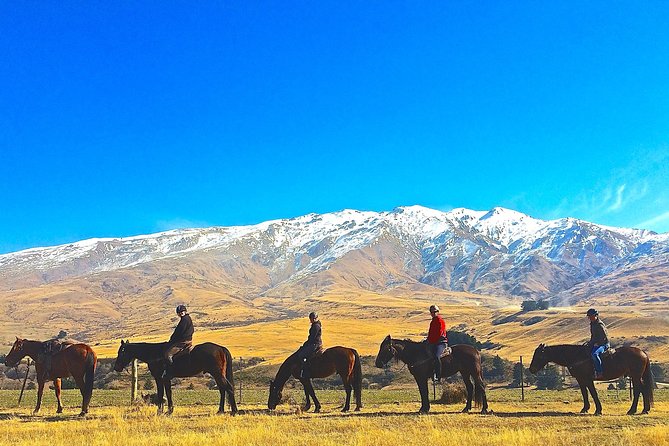 Cardrona High Country Pub Trail Horse Trek (Intermediate level+) - What the 3.5-hour ride is really like