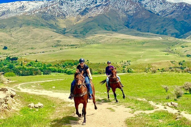 Cardrona High Country Pub Trail Horse Trek (Intermediate level+) - Climbing into the Cardrona high country