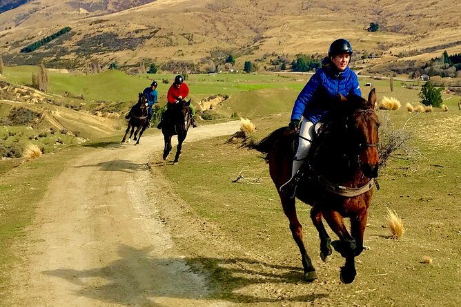Cardrona High Country Pub Trail Horse Trek (Intermediate level+) - Trotting, cantering, and river crossings