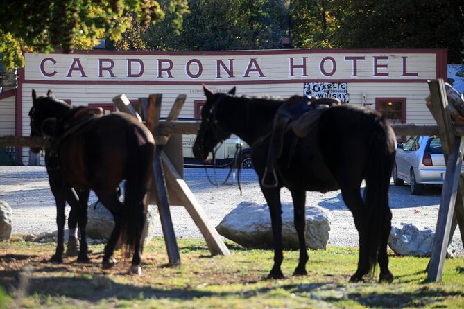 Cardrona High Country Pub Trail Horse Trek (Intermediate level+) - Why the small group matters