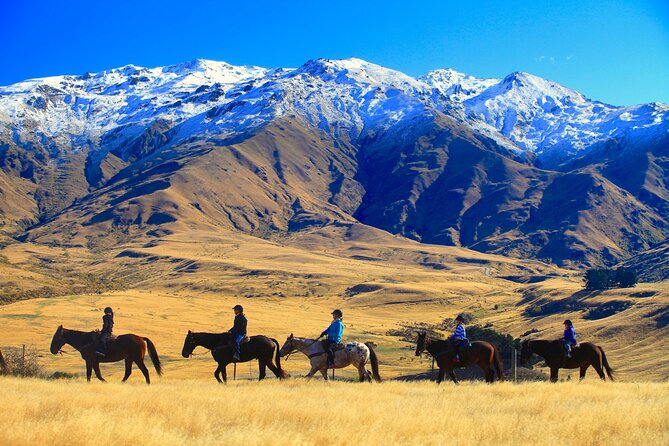 Cardrona High Country Pub Trail Horse Trek (Intermediate level+) - Meeting the horses at Cardrona