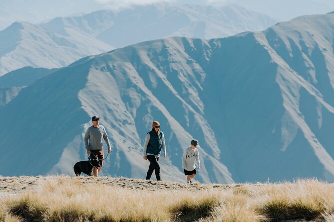 Cardrona Summer Gondola Sightseeing Pass - Coffee, craft beer, and local wine