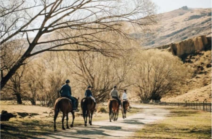 Cardrona Valley: Horse Trekking Experience - Key points to know before you ride