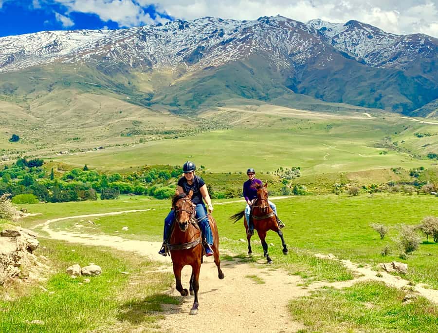 Cardrona Valley: Horse Trekking Experience - Meeting the horses at the Cardrona Valley base